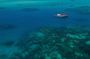Ocean Free: Small Group Great Barrier Reef & Green Island Tour