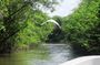 3 Palos Lagoon AfroMex Village Turtle Release & Croc Farm Visit