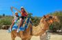 Camel Ride in the Canyon and Thrilling Water Slides and Snacks