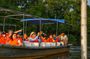 Klias Wildlife Safari River Cruise from Kota Kinabalu