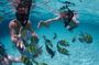 Bali Best SNORKELING at BLUE LAGOON