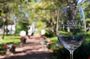 Private Half Day Winelands Tour