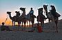 Camel Riding Tour in Luxor West Bank