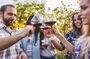 Private Wine Tour from Florence: 3 Wineries & Lunch