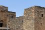 Desert Castles Private Tour