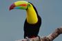 Hiking to Curi-Cancha Reserve