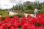 Madrid Parks & Riverside Bike Tour