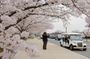 DC History & Monuments 5+Stops Guided Small Group Cruiser Tour