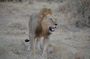Three Days Ngorongoro crater, Lake Manyara and Taragire National Park (Joining)