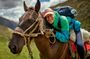 5 Day Ancient Inca Trail to Machu Picchu Horseback Riding Trek