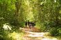 Cat Ba National Park & Lan Ha Bay: Full-Day Trekking Adventure