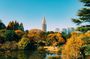 Shinjuku Gyoen Autumn Leaves Stroll in Tokyo