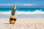 Oahu's Ultimate Grand Circle Island Tour with Snorkeling and More