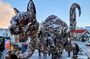 The Reykjavik Cat Walking Tour