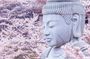 Nara: Discover a Giant Stone Buddha in the Forest Hills