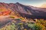 Private Tour of Etna and Messina from hotel or cruise port in Messina