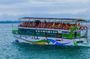 Whales & Dolphin Watching Day Tour including Handunugoda Teafactory