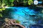 Jungle Tour to Emerald Pool, Krabi Hot Spring and Tiger Cave Temple