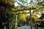 Day Trip From Mount Aso to Miyazaki with Boat Ride