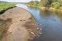 Jungle Crocodile & Carara National Park-Punta Arenas Highlights