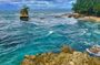 Gandoca - Manzanillo Trail & Great Green Macaw Tour