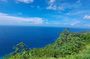 Island Tour (Food and Drinks include)