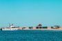 Mola Mola Day with Beach Braai Lunch