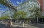 Quai Branly Museum and Shopping at Beaugrenelle Paris