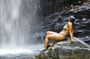 Avocat Waterfall and Maracas Bay, The Way Trinis Do It