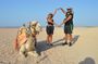 Tour in Hurghada Arabian Night and Star Watching
