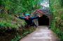 Shared Canopy Extremo Zipline Activity in Guanacaste Province