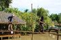 Can Tho Floating Market and Local Life Discovery Tour