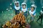 Aquanauts sea walk in Lembongan