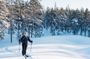 Private Wilderness Skiing Tour in Pyhätunturi With A Local Guide