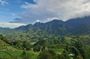One day Trekking in Sapa and Muong Hoa Valley with local guide