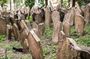 Prague Guided Jewish Quarter and Old Cemetery Tour with Tickets