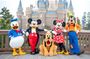 Tokyo Disneyland Ticket and Shared Transfers