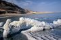 Half Day Tour to the Dead Sea