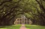 Full Day Plantation and Swamp Tour in New Orleans