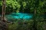 Tiger Cave and Emerald Pool Jungle Tour from Krabi