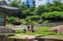 Seoul's Most Peaceful Palace Walk with a Local