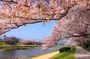 Himeji Private Custom Tour with Local Guide
