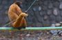 4 Days Amazon Tena Lodge Tour in Archidona