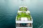 Luxury Halong Bay Day Tour–Buffet Lunch & All Activities Included