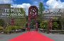Auckland: TE PUIA Rotorua, Polynesian Spa & Blue Springs Day Tour