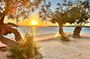 Mykonos Your Way with Customizable Private Half Day Tour