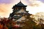 Osaka Castle Historical Private Tour