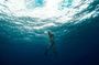 Master Free diving in Boracay