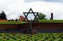 From Prague: Terezin Concentration Camp & Memorial Tour