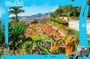 Madeira Botanical Gardens and Old Town Tuk Tuk Tour by MadTuk